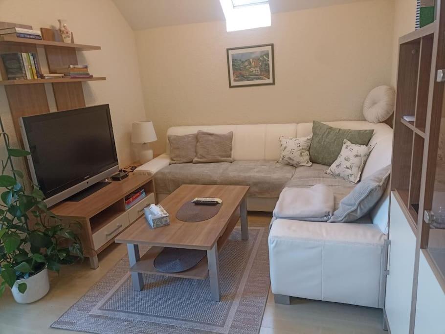 Ferienwohnung Guetl Am Weg 阿尔特穆斯特 外观 照片