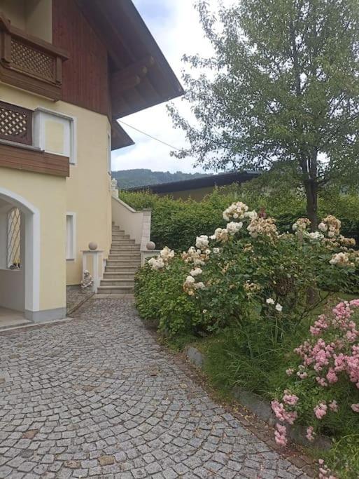 Ferienwohnung Guetl Am Weg 阿尔特穆斯特 外观 照片