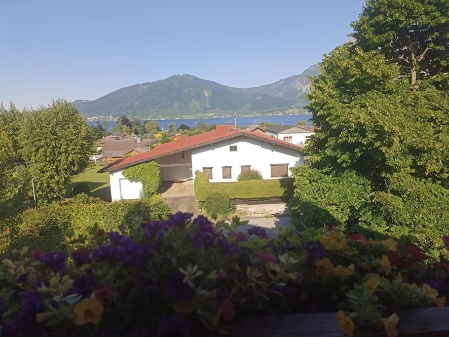 Ferienwohnung Guetl Am Weg 阿尔特穆斯特 外观 照片