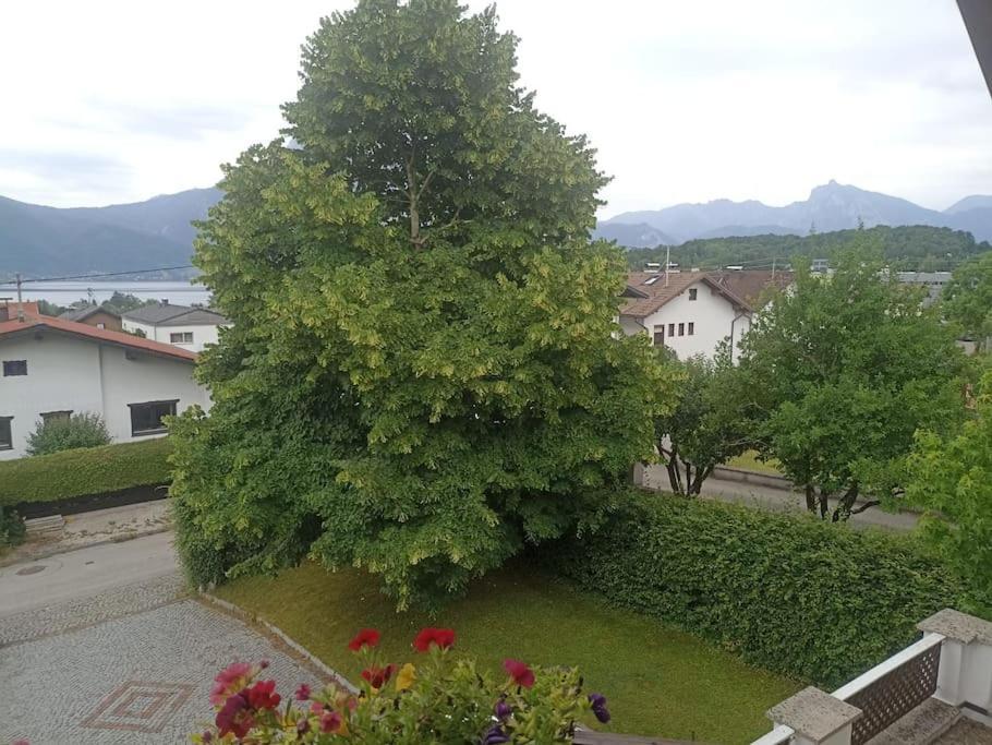 Ferienwohnung Guetl Am Weg 阿尔特穆斯特 外观 照片